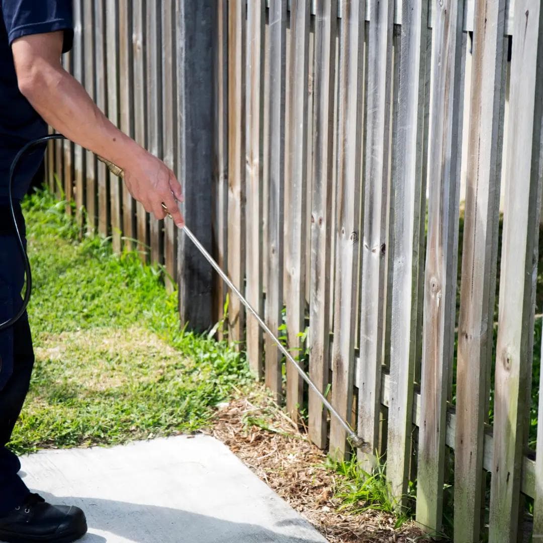 5 Website Features Every Pest Control Company Needs to Book More Jobs