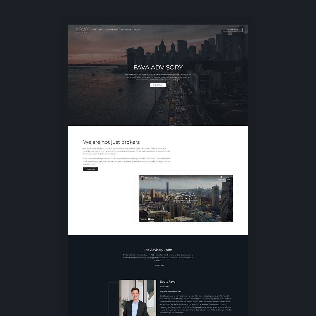Fava Advisory website preview
