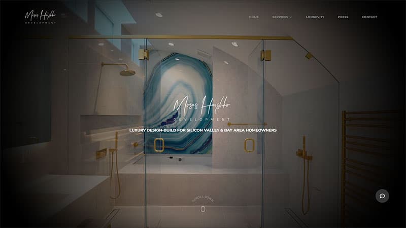 Moses Hershko Development website design